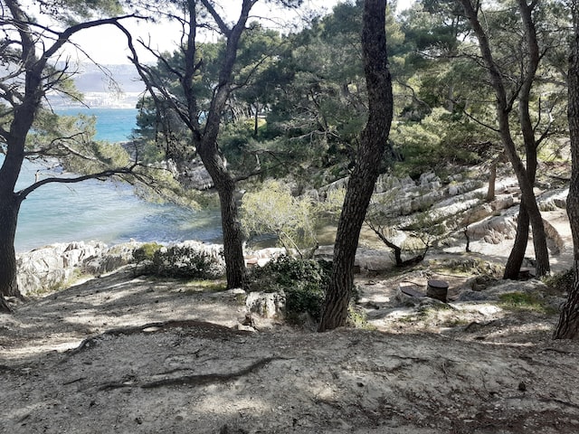 Marjan Waldpark in Split, Domina Petric (Unsplash)